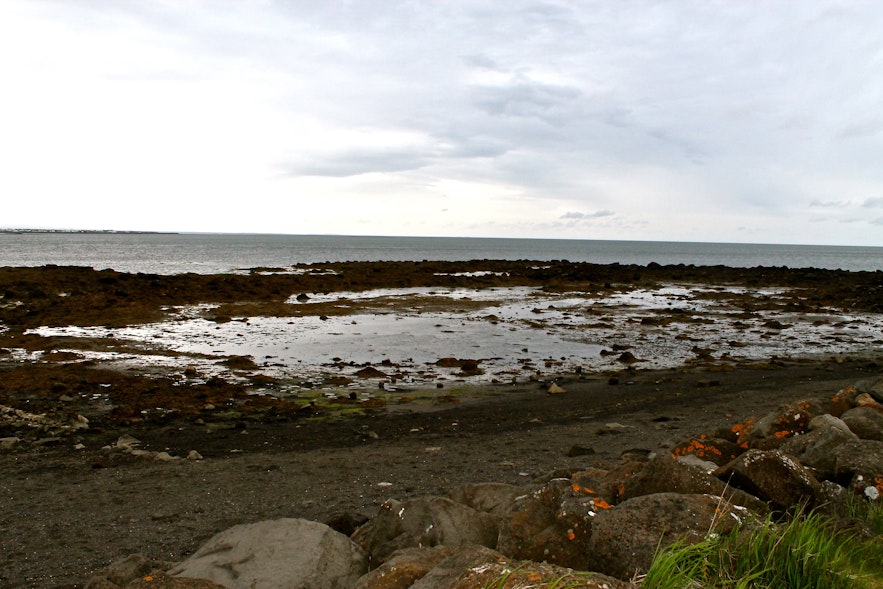 Photos of the seaside of Reykjavík