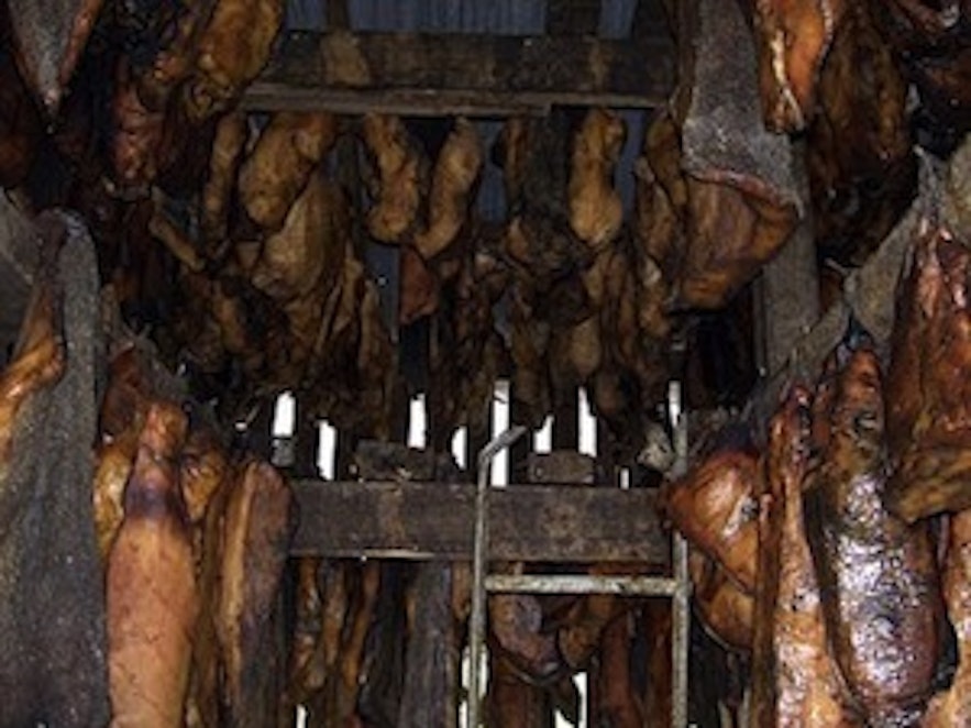 酵鲨鱼肉，图片来自维基百科