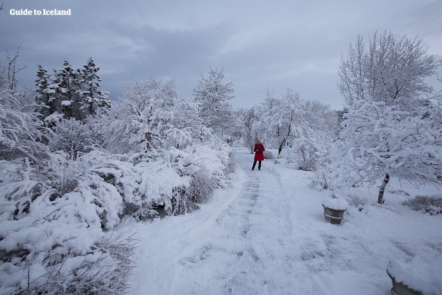 冬のレイキャビクの公園を散策する女性