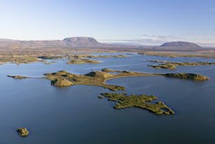 Lake Myvatn's shallow water boasts unique geological formations.