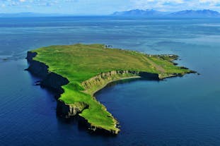 An overhead view of a bright green landscape across Grimsey Island.
