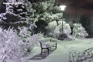 Reykjavik's parks look fairytale-magical in their snow-covered winter coats.