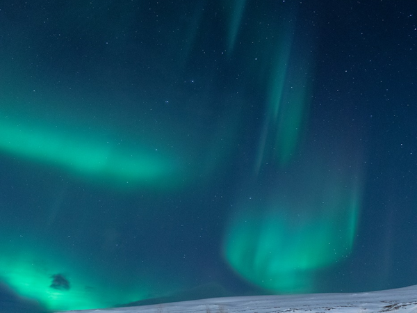 Witness the enchanting Northern Lights from the comfort of your Nordic retreat at Viking Cottages and Apartments.