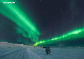Bands of aurora borealis swirling in the countryside of Iceland.