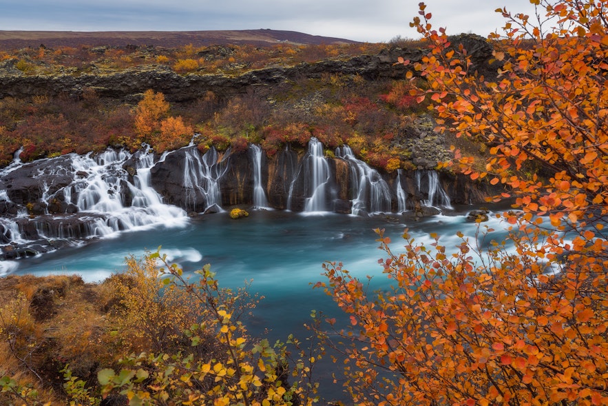 博尔加峡湾（Borgarfjörður）的赫伦瀑布群（Hraunfossar）在秋季尤为美丽。
