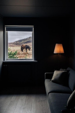 An Icelandic horse can be seen from the bedroom window.