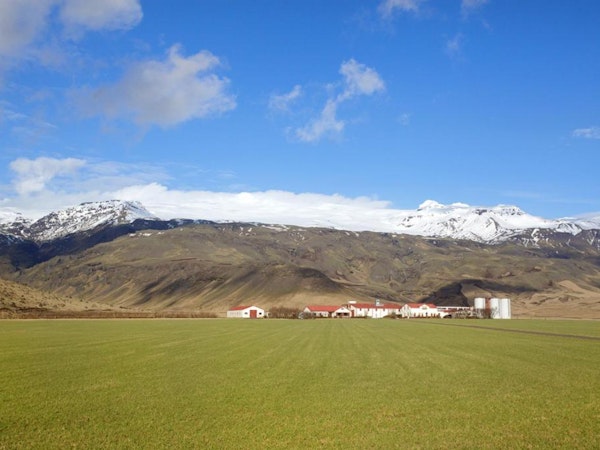 Snow-capped mountains add another reason to stay at the Welcome Guesthouse Edinborg.