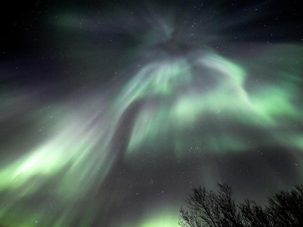 Guests staying at the Welcome Guesthouse Edinborg can marvel at the beauty of the northern lights.