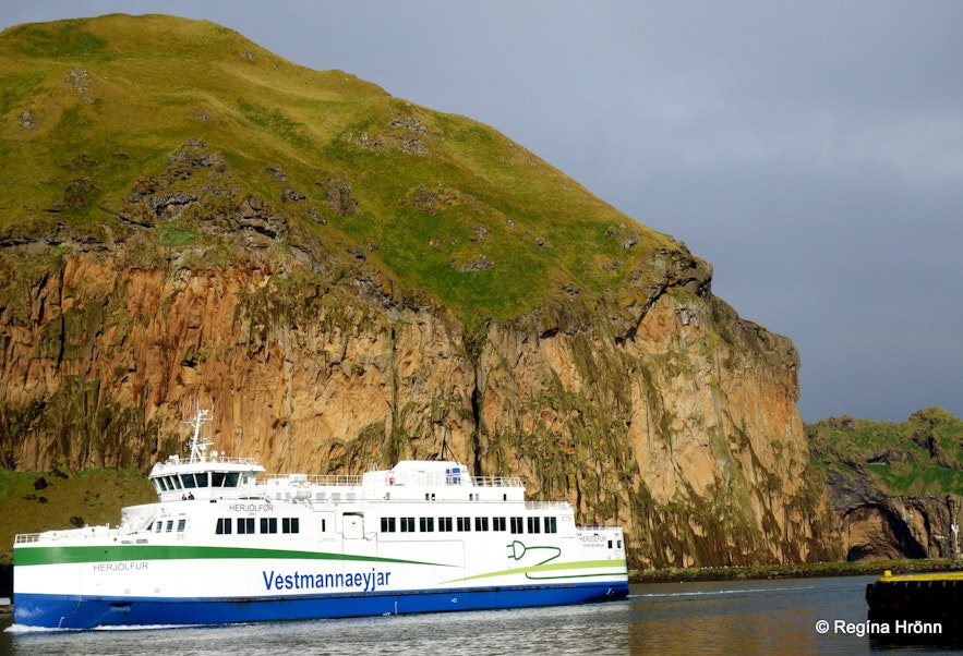 The Westman islands in Iceland - the Puffin and Volcano Tour - Local Guidance