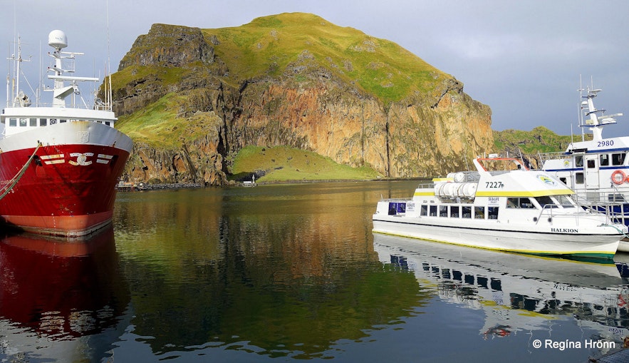 The Westman islands in Iceland - the Puffin and Volcano Tour - Local Guidance