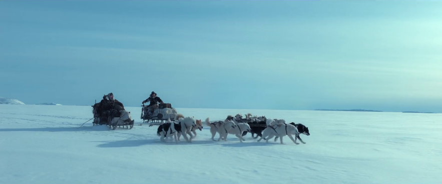 Die Szenen in Against the Ice zeigen Hundeschlittenfahrten auf Gletschern in Island
