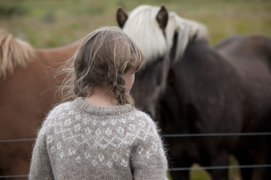 在冰岛骑马游览时，您可能会见到一些穿着lopapeysa羊毛衣的人。