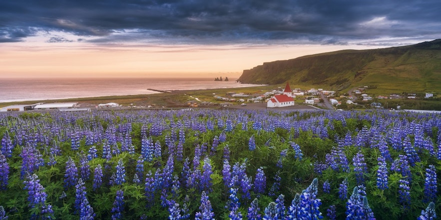 비크는 아이슬란드 남부의 마을로, 링로드 여행에서 꼭 방문해야 할 곳입니다.