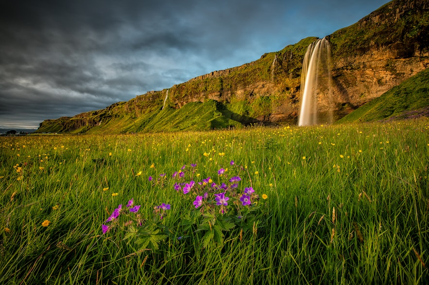You can see Seljalandsfoss waterfall from the Ring Road