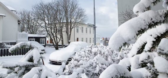 Reykjavik's winter charm captured in every snowflake.