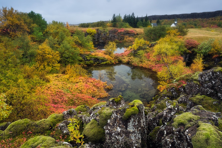 아이슬란드 가을철의 씽벨리르 국립공원. 아름다운 장소이자 아이슬란드에서 가장 인기 있는 투어 명소 중 하나입니다.