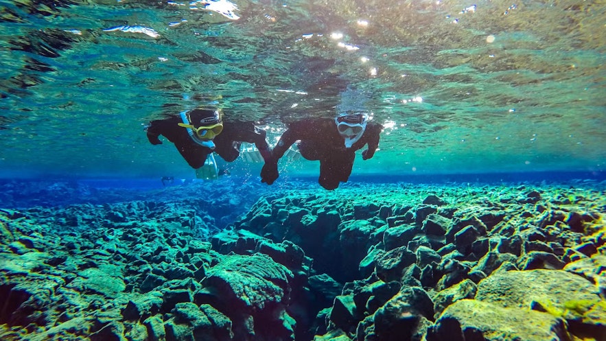 在黄金圈的丝浮拉浮潜是一次寒冷但惊险刺激的旅行。
