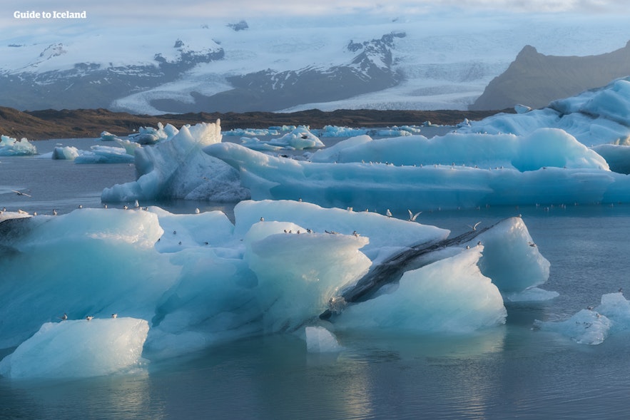 漂浮在冰岛东南部杰古沙龙冰河湖上的乳蓝色冰山。