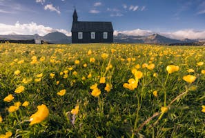 Tours y Paquetes de Verano en Islandia