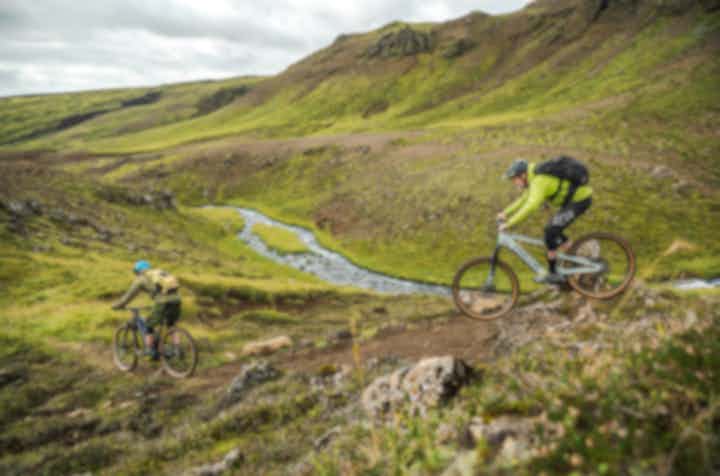 アイスランドのサイクリング・ツアー