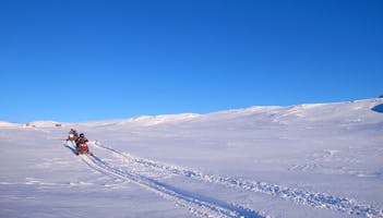 Bedste snescooterture på Island