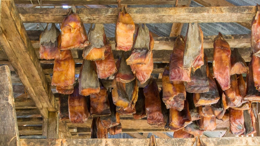 发酵臭鲨鱼（Hákarl）被挂出来供人品尝。
