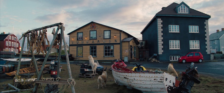 영화 속에서 그린란드 누크로 등장하는 아이슬란드의 스티키스홀무르