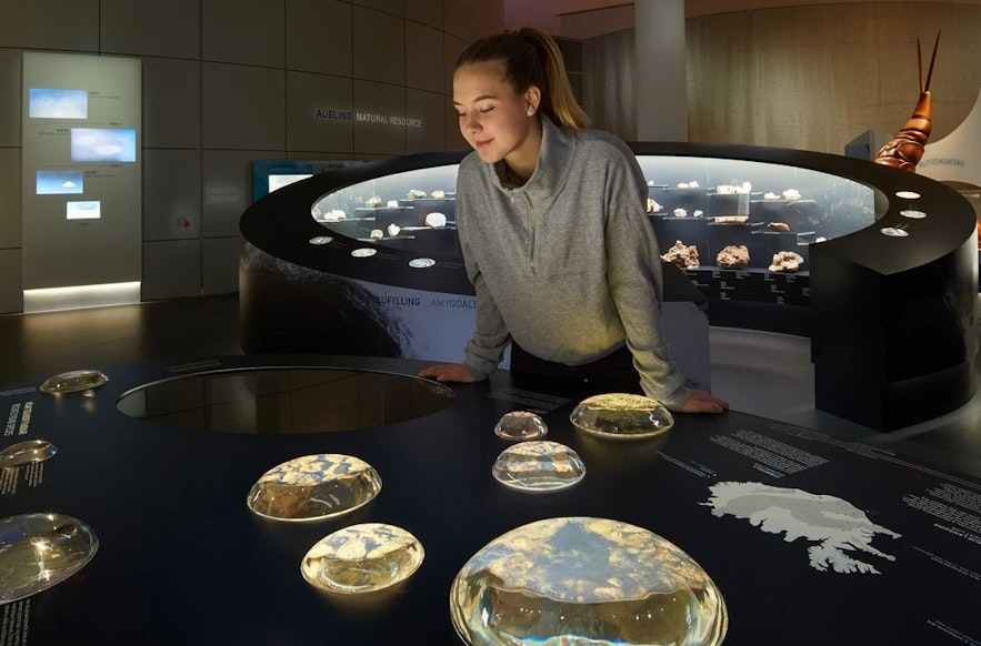 You'll find the Natural History Museum of Iceland in Perlan