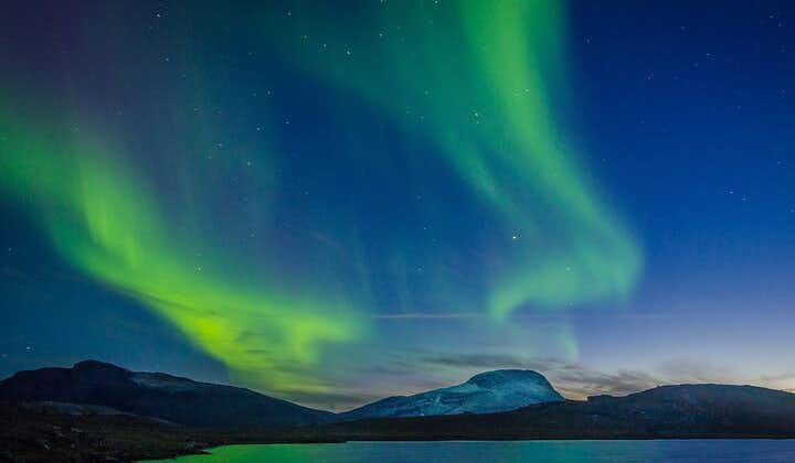 Witness the celestial ballet as the Northern Lights paint the Arctic sky in hues of green and violet.
