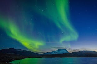 Witness the celestial ballet as the Northern Lights paint the Arctic sky in hues of green and violet.