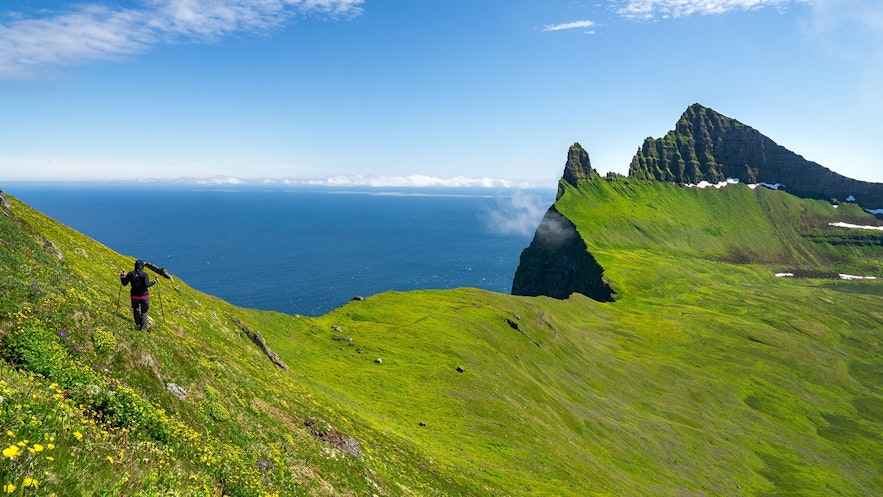 Imponujący klif Hornbjarg w rezerwacie przyrody Hornstrandir, jeden z ukrytych klejnotów Islandii.