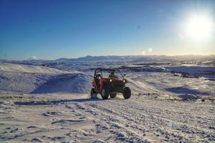 Vauhdikas tunnin pituinen rantakirppusafari Hafrafellvuorella, kuljetus Reykjavikista