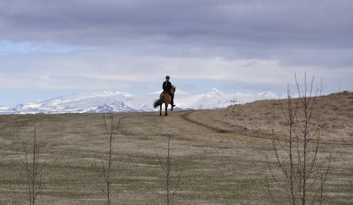 An Icelandic horse and rider overlook a snowy mountain range in South Iceland.