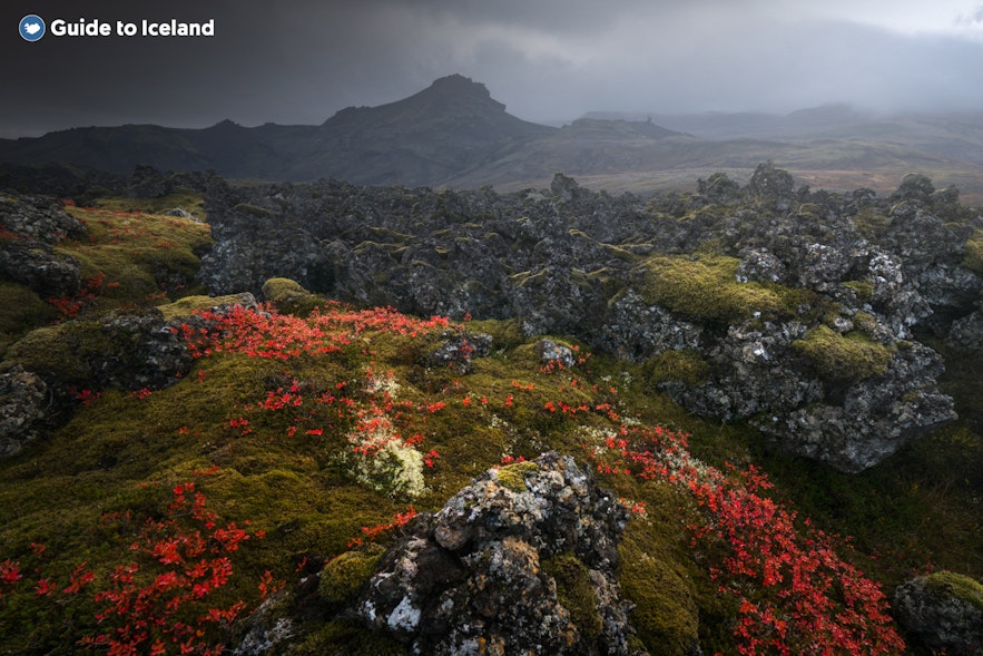 Iceland is known for its rugged and dramatic landscapes