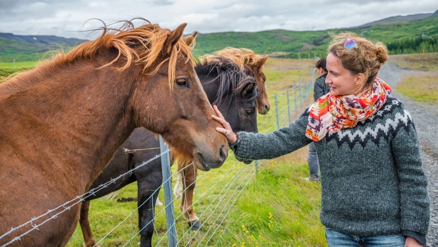 В июне в Исландии популярна лопапейса – традиционный шерстяной свитер.