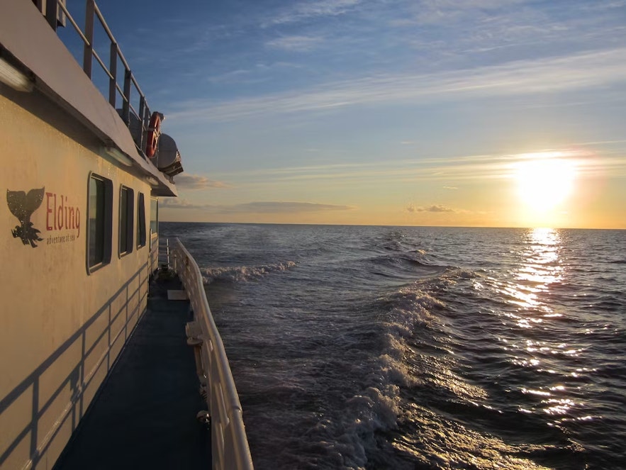 Whale watching beneath the midnight sun is an adventure.