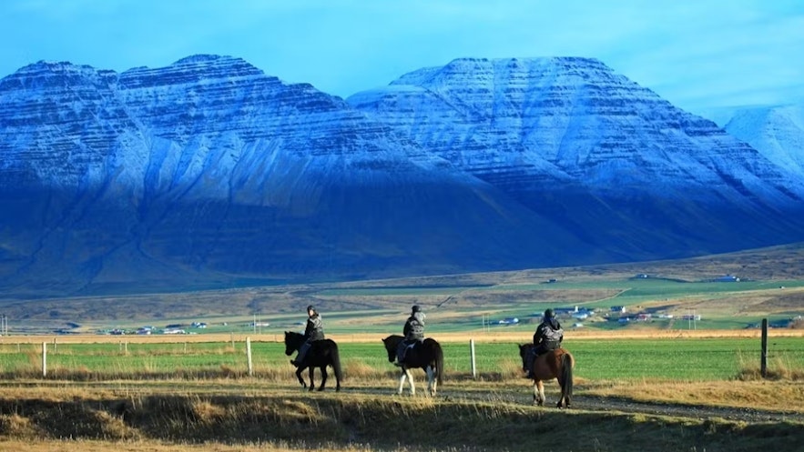 Horseback riding is one ot the best things to do in Icelandic nature