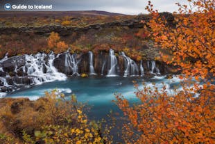 De Hraunfossar waterval in West-IJsland stroomt uit een uitgestrekt lavaveld.