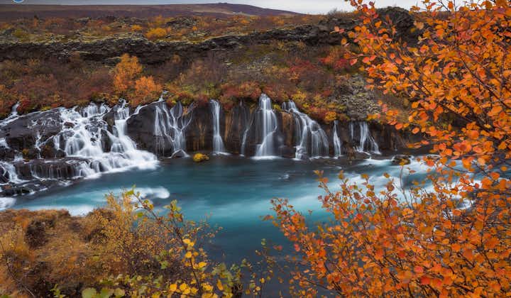 Hraunfossar waterfall in West Iceland flows from an expanse of lava field.
