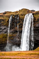 Discover the enchanting Seljalandsfoss, a picturesque waterfall that invites you to stroll behind its veil.