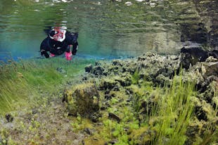 Litlaa river in North Iceland is perfect for snorkeling because of its shallow and clear water.
