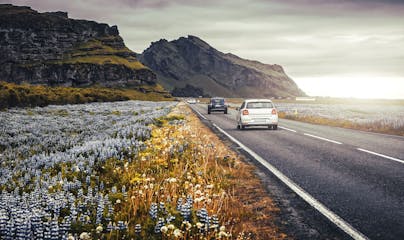 Top 10 Car Rental Companies in Iceland