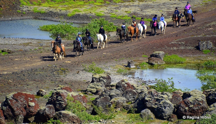 Explore the Heidmork nature reserve and the Raudholar craters with an Icelandic horse
