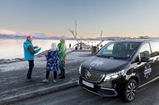 Private 3-Hour Reykjavik Driving Tour