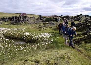 Hikers in the Icelandic Highlands passing through a lush lava field.