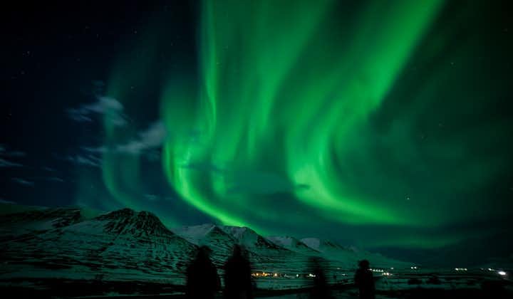 Travelers enjoying the swirling visual spectacle of the northern lights.