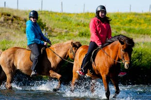 スーパージープがなくても、アイスランドの馬に頼り川を渡ることができる