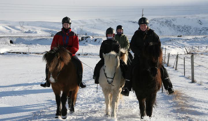 Rain, snow or hail, nothing can stop the Icelandic horse.