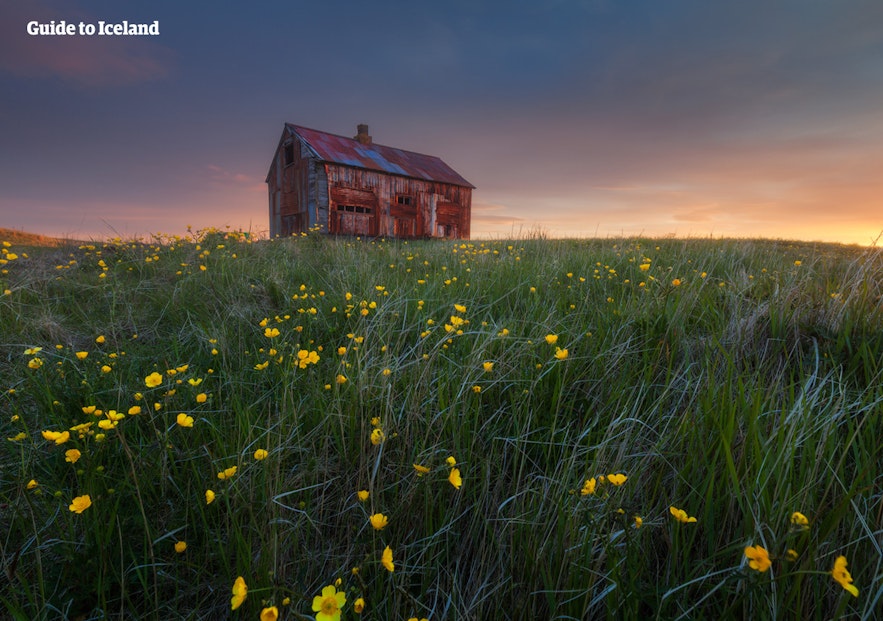 An abandoned house in a lush green field on the Reykjanes Peninsula.