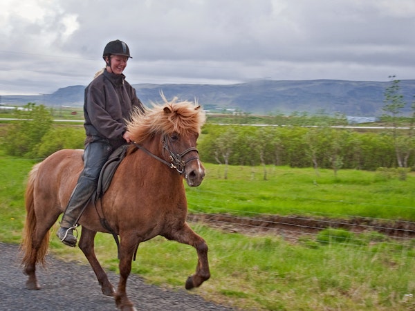 Eldhestar Horse Riding